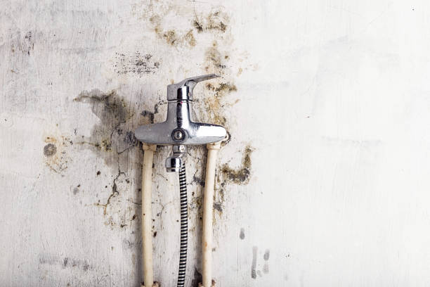 Best Mold Remediation  in Apache, OK