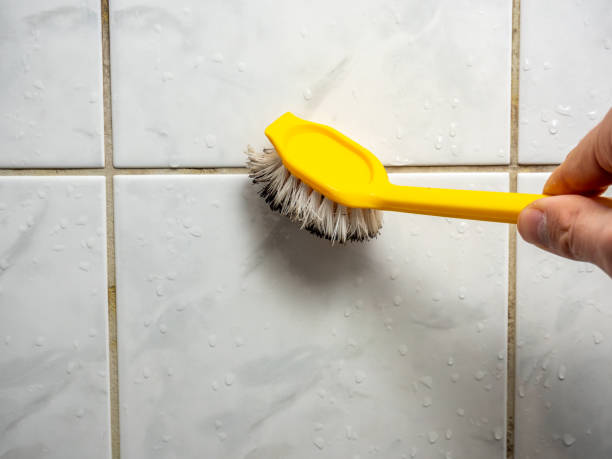 Trusted Apache, OK Mold Removal Experts