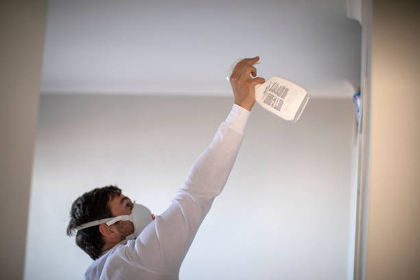 Mold Testing and Removal in Apache, OK