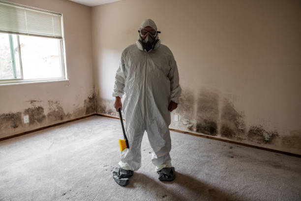 Best Professional Mold Removal  in Apache, OK