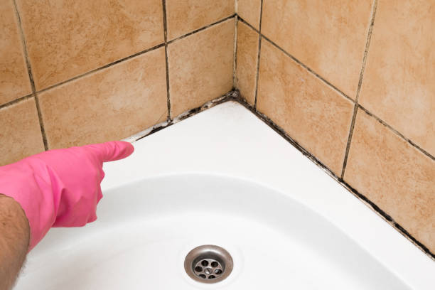 Home Mold Removal in Apache, OK